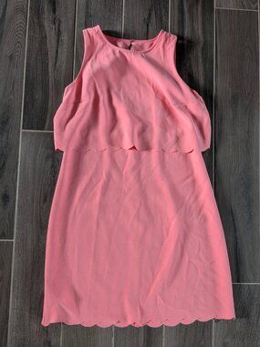LOFT Scalloped Sheath Dress Pink Size 8